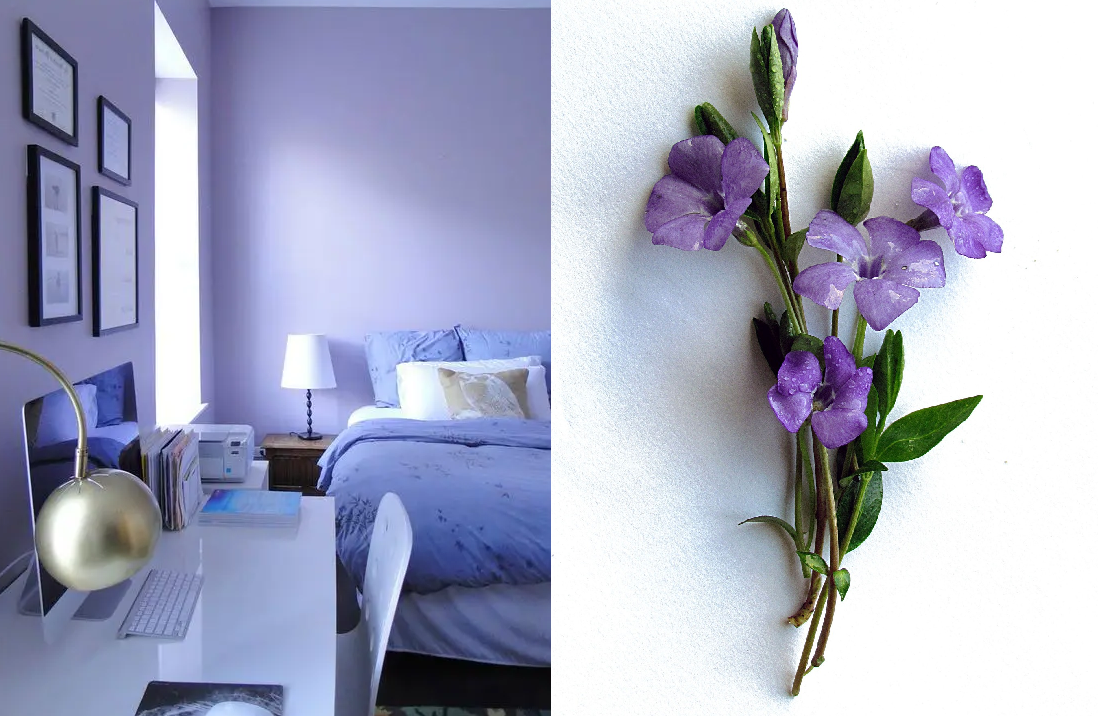 Фиолетовый в интерьере: дизайн, сочетание цветов, фото интерьеров
